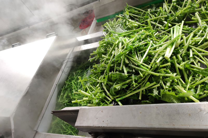 不銹鋼制作的漂燙蒸煮機(jī)，四周雙層保溫